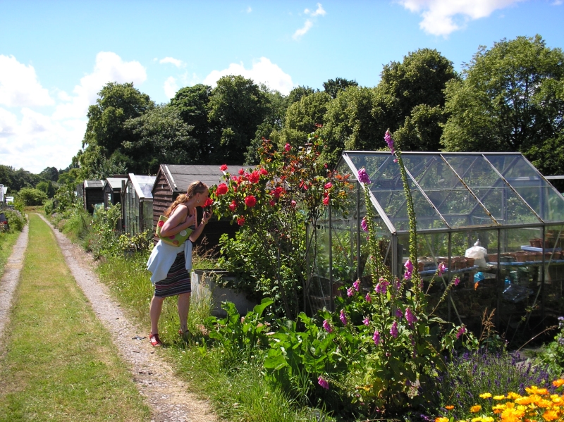 Sefton Park Allotments